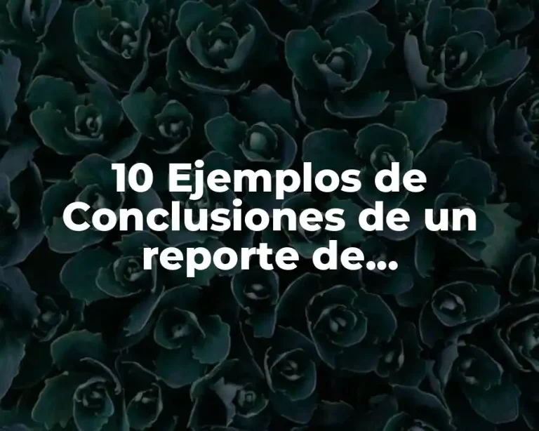 10 Ejemplos de Conclusiones de un reporte de investigación