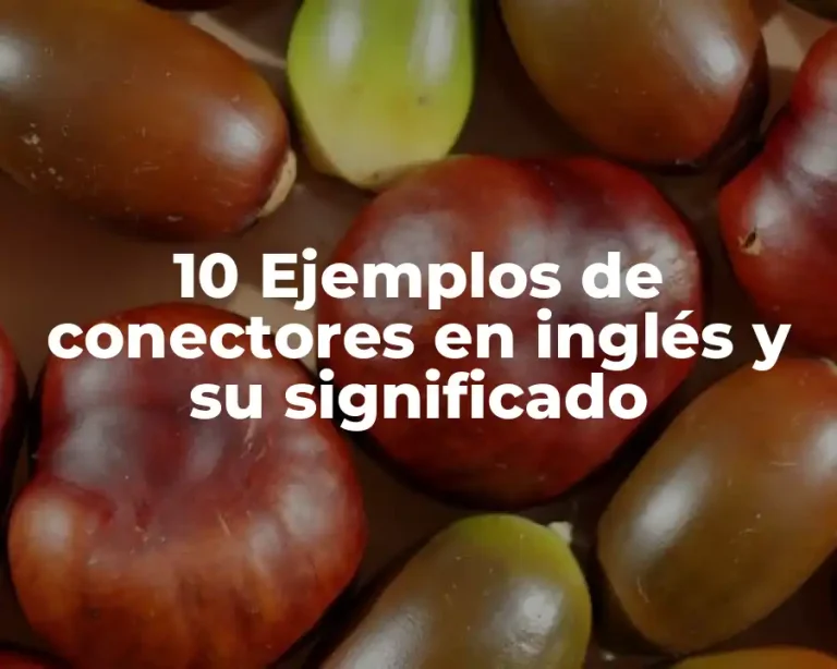 10 Ejemplos de conectores en inglés y su significado