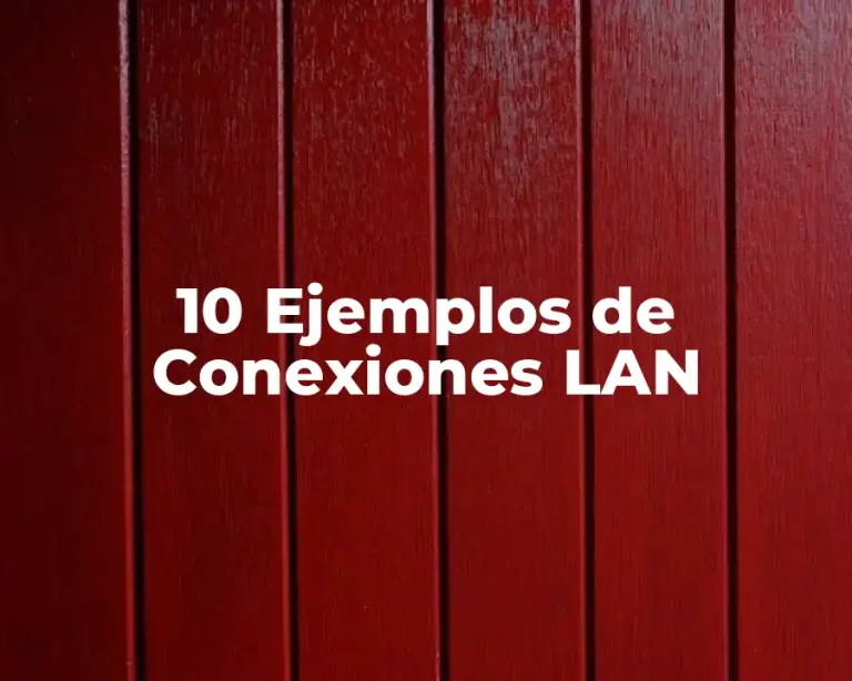 10 Ejemplos de Conexiones LAN