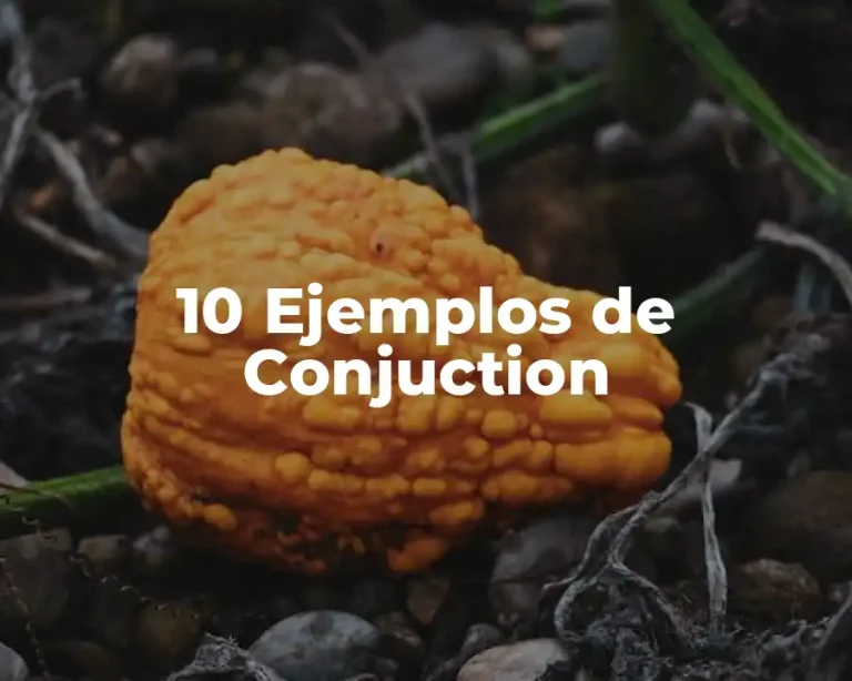10 Ejemplos de Conjuction