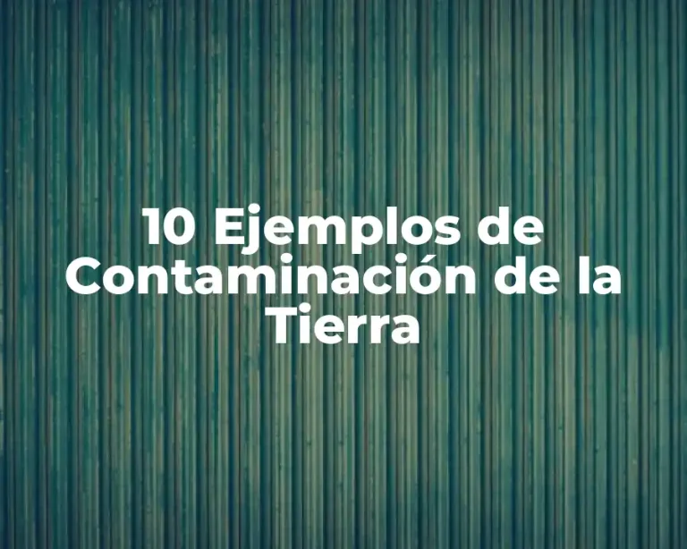 10 Ejemplos de Contaminación de la Tierra