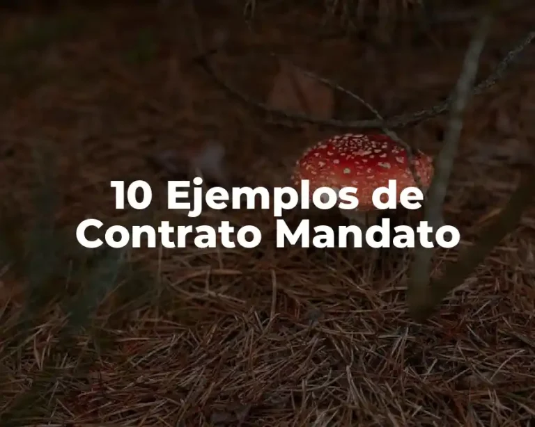 10 Ejemplos de Contrato Mandato