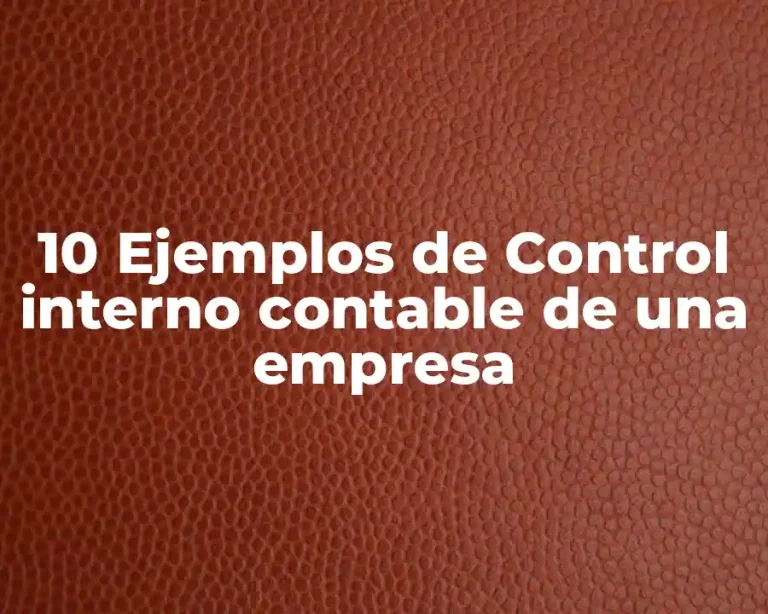 10 Ejemplos de Control interno contable de una empresa