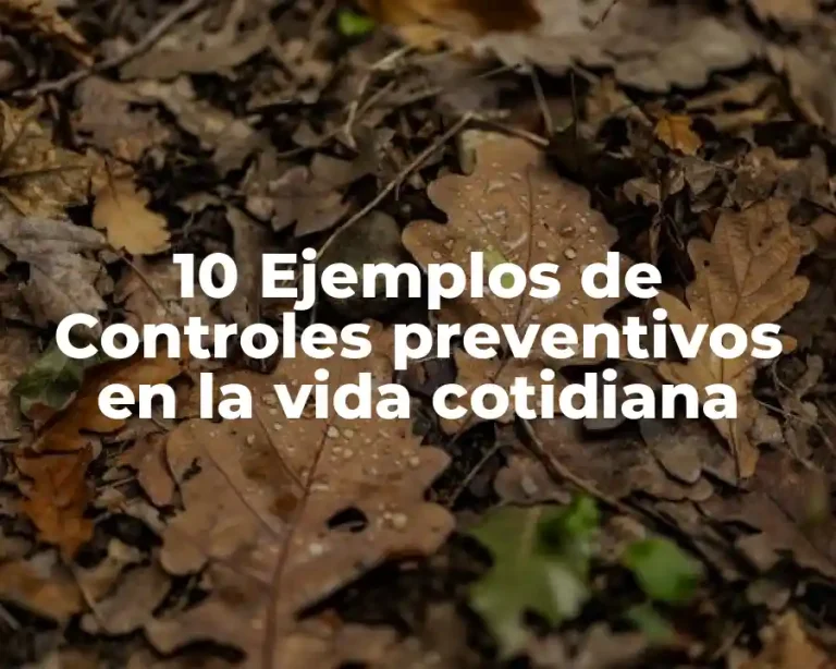10 Ejemplos de Controles preventivos en la vida cotidiana