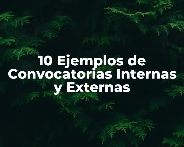 10 Ejemplos de Convocatorias Internas y Externas
