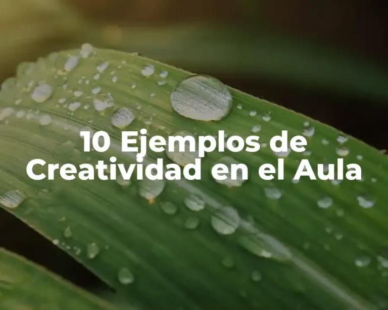 10 Ejemplos de Creatividad en el Aula