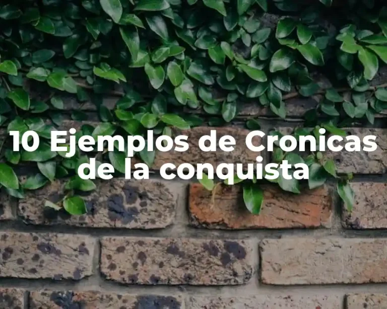 10 Ejemplos de Cronicas de la conquista