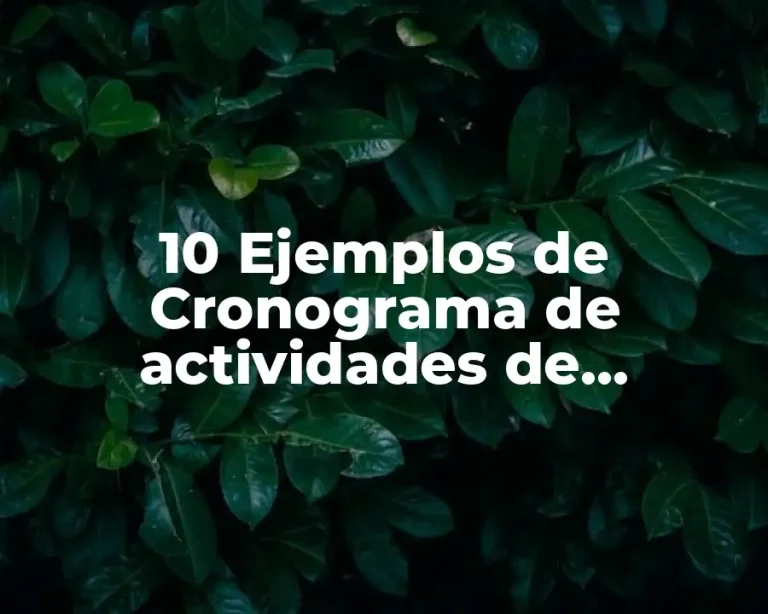 10 Ejemplos de Cronograma de actividades de enfermería