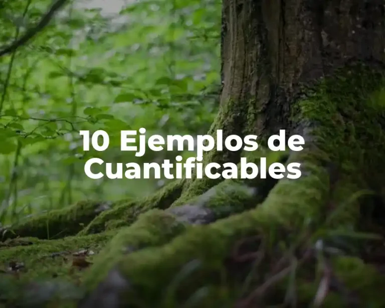 10 Ejemplos de Cuantificables