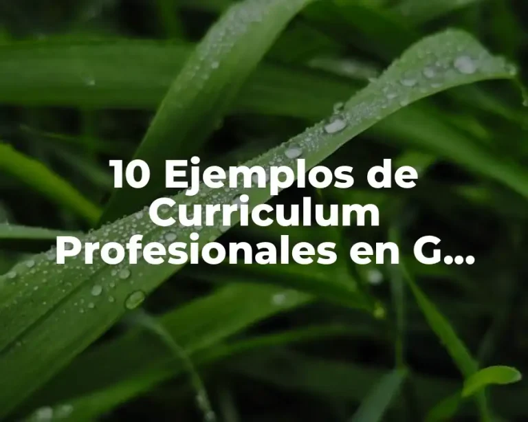 10 Ejemplos de Curriculum Profesionales en G Suite