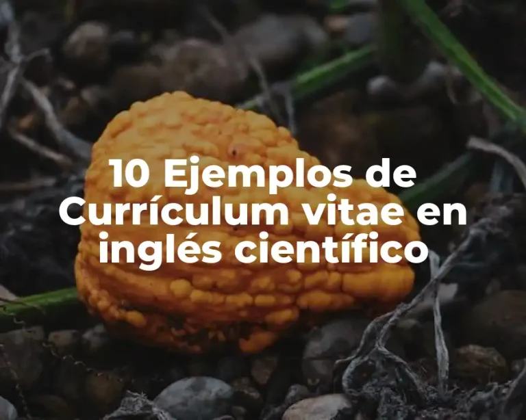 10 Ejemplos de Currículum vitae en inglés científico