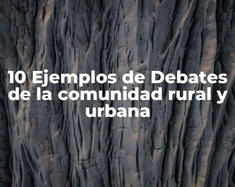 10 Ejemplos de Debates de la comunidad rural y urbana