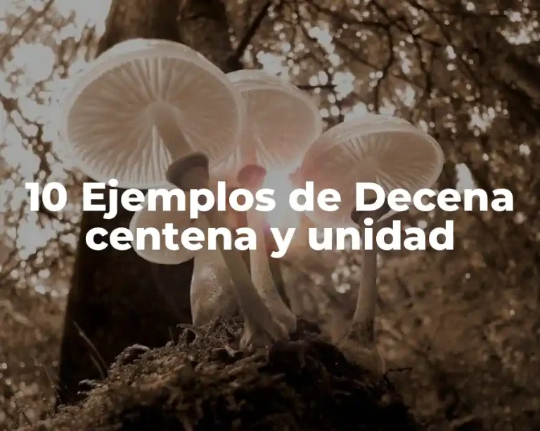 10 Ejemplos de Decena centena y unidad