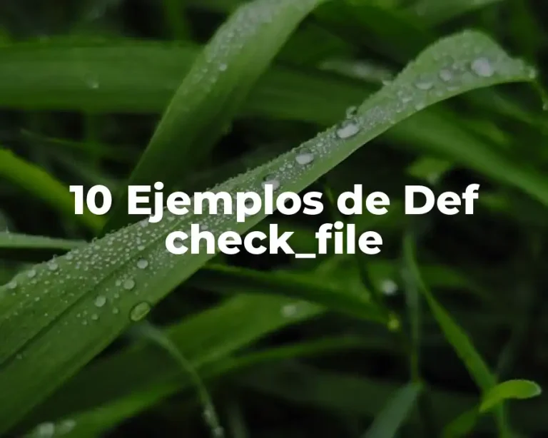 10 Ejemplos de Def check_file