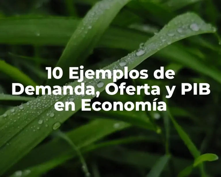 10 Ejemplos de Demanda, Oferta y PIB en Economía