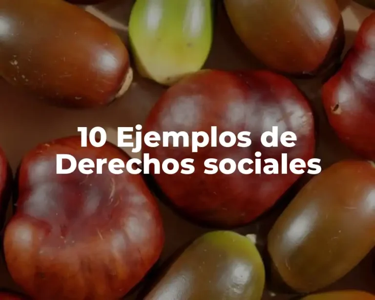 10 Ejemplos de Derechos sociales