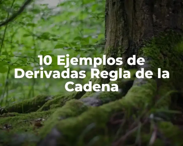 10 Ejemplos de Derivadas Regla de la Cadena