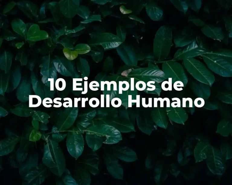 10 Ejemplos de Desarrollo Humano
