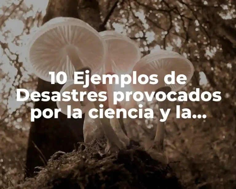 10 Ejemplos de Desastres provocados por la ciencia y la tecnología