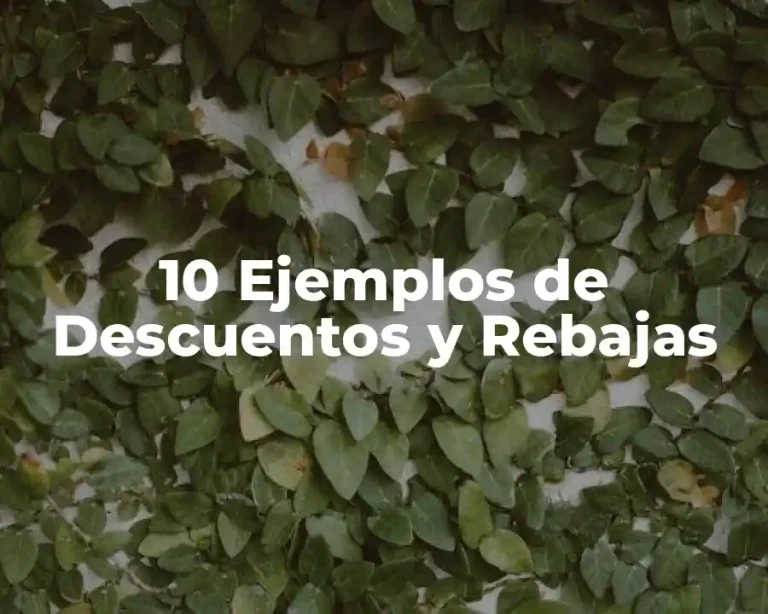 10 Ejemplos de Descuentos y Rebajas