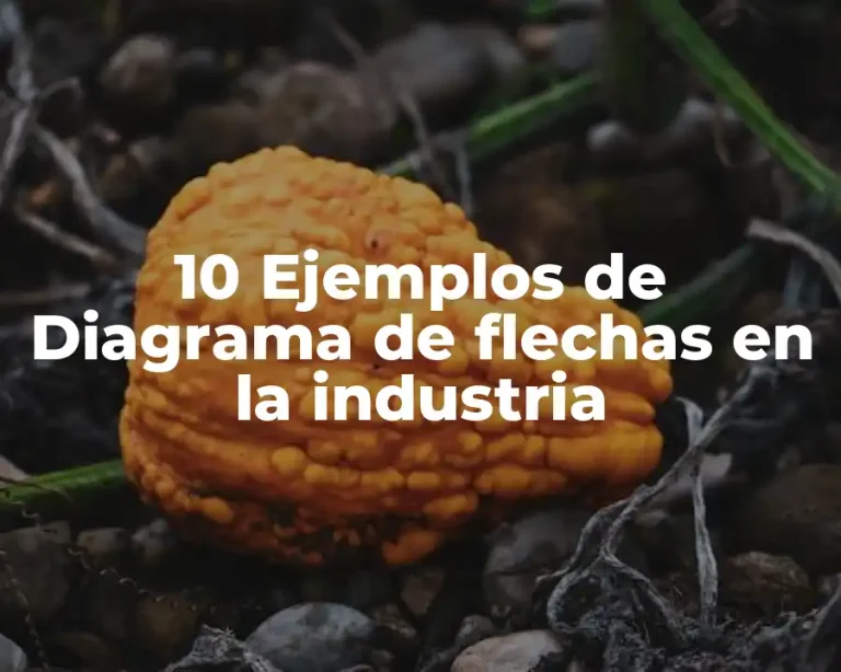 10 Ejemplos de Diagrama de flechas en la industria