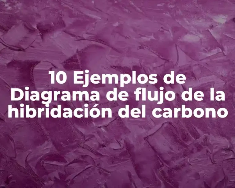 10 Ejemplos de Diagrama de flujo de la hibridación del carbono