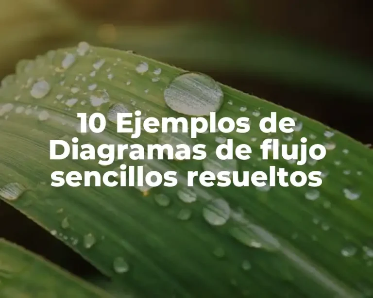 10 Ejemplos de Diagramas de flujo sencillos resueltos