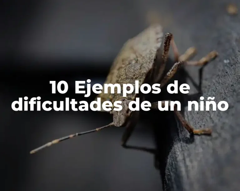 10 Ejemplos de dificultades de un niño
