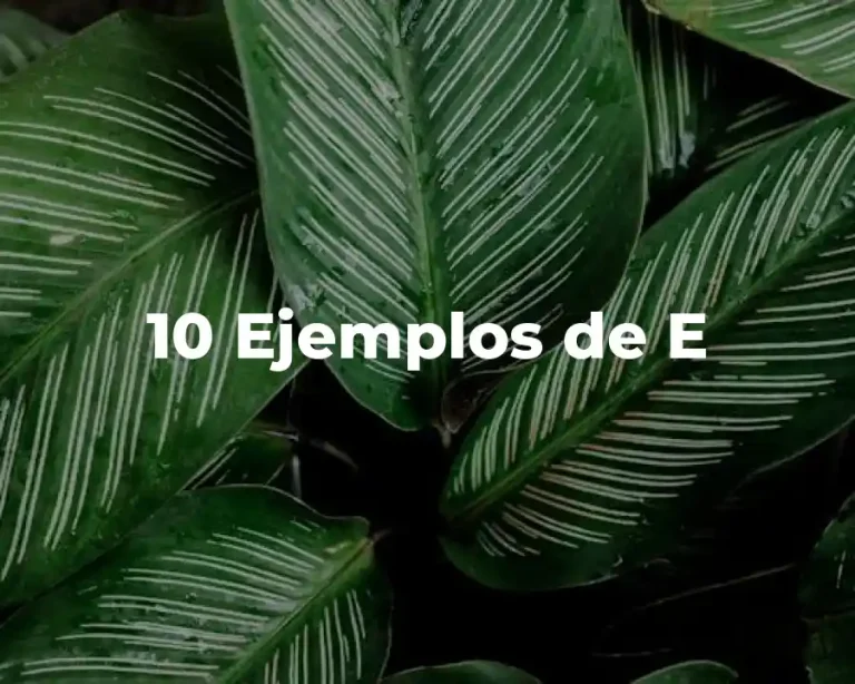 10 Ejemplos de E