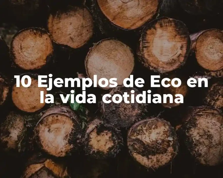 10 Ejemplos de Eco en la vida cotidiana