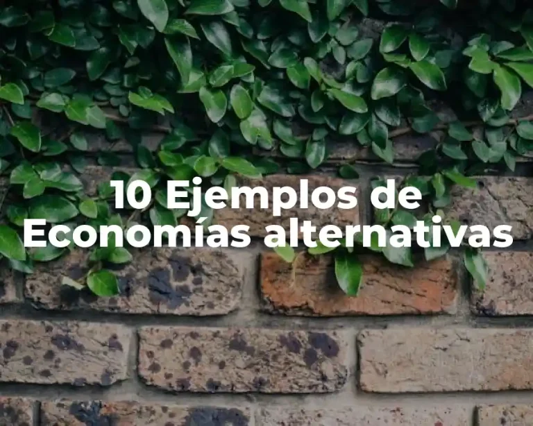 10 Ejemplos de Economías alternativas