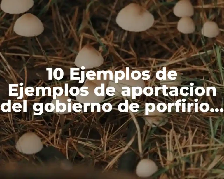 10 Ejemplos de Ejemplos de aportacion del gobierno de porfirio diaz