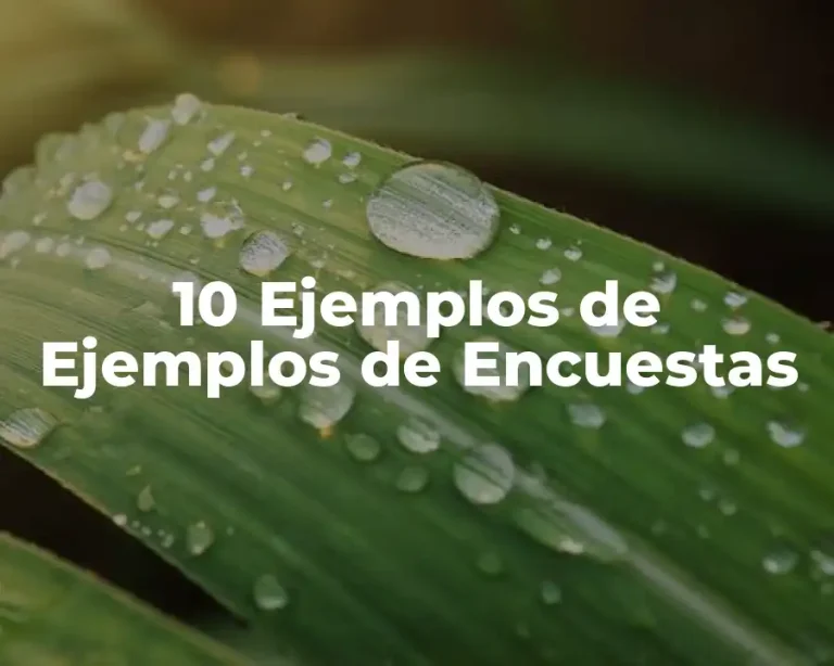 10 Ejemplos de Ejemplos de Encuestas