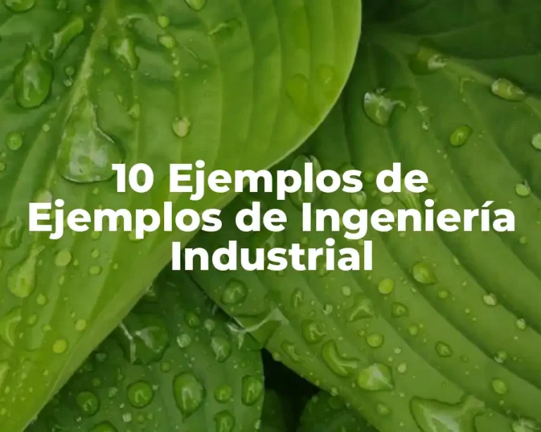 10 Ejemplos de Ejemplos de Ingeniería Industrial