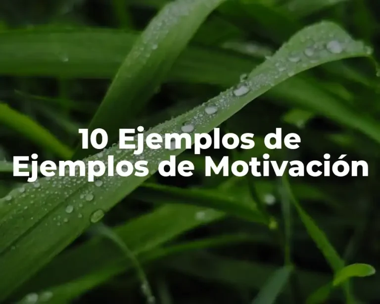 10 Ejemplos de Ejemplos de Motivación