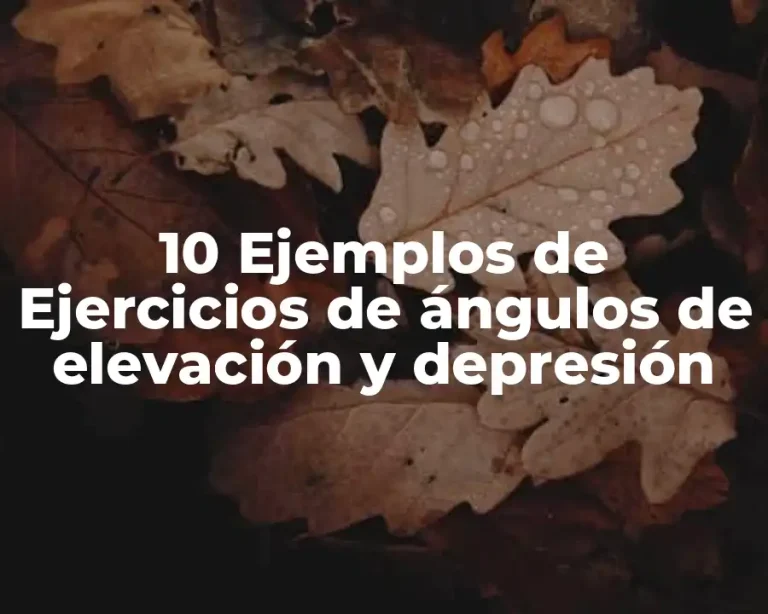 10 Ejemplos de Ejercicios de ángulos de elevación y depresión