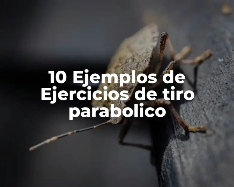 10 Ejemplos de Ejercicios de tiro parabolico
