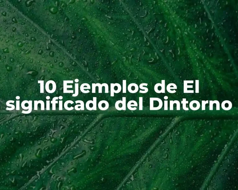 10 Ejemplos de El significado del Dintorno