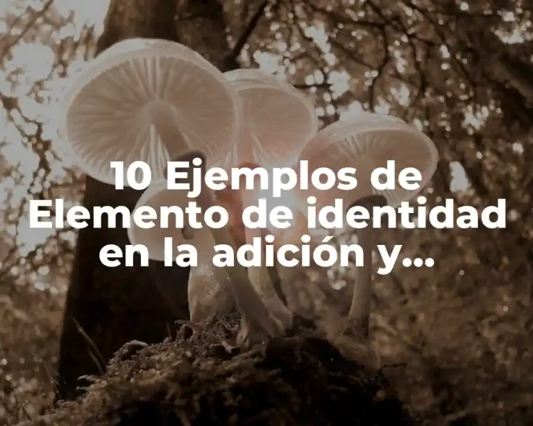 10 Ejemplos de Elemento de identidad en la adición y multiplicación