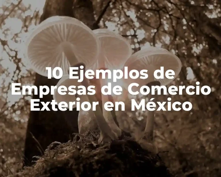10 Ejemplos de Empresas de Comercio Exterior en México