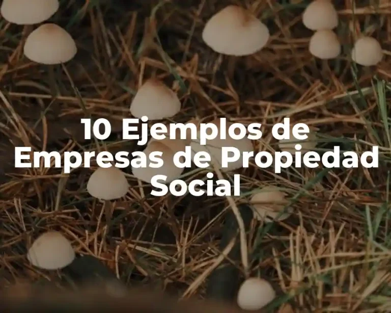 10 Ejemplos de Empresas de Propiedad Social