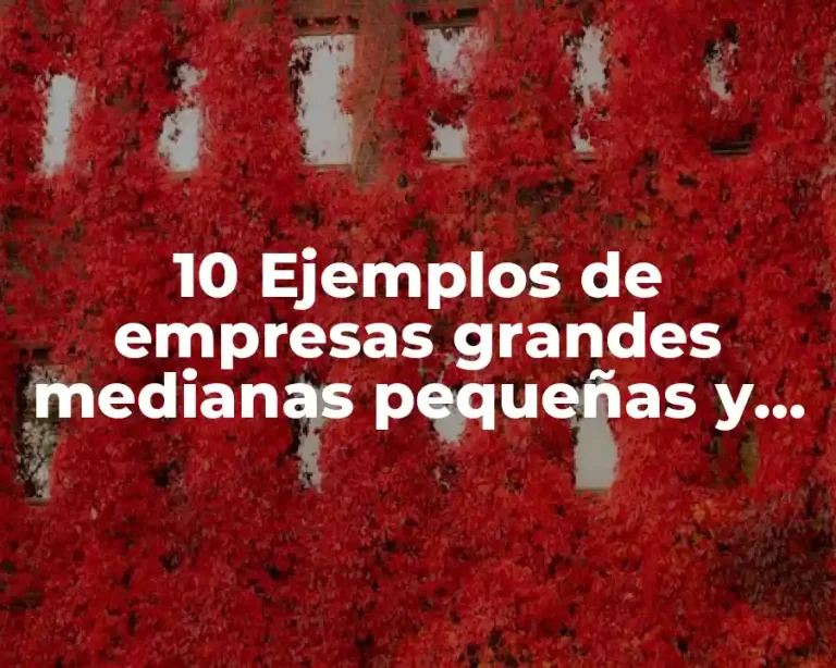10 Ejemplos de empresas grandes medianas pequeñas y microempresas