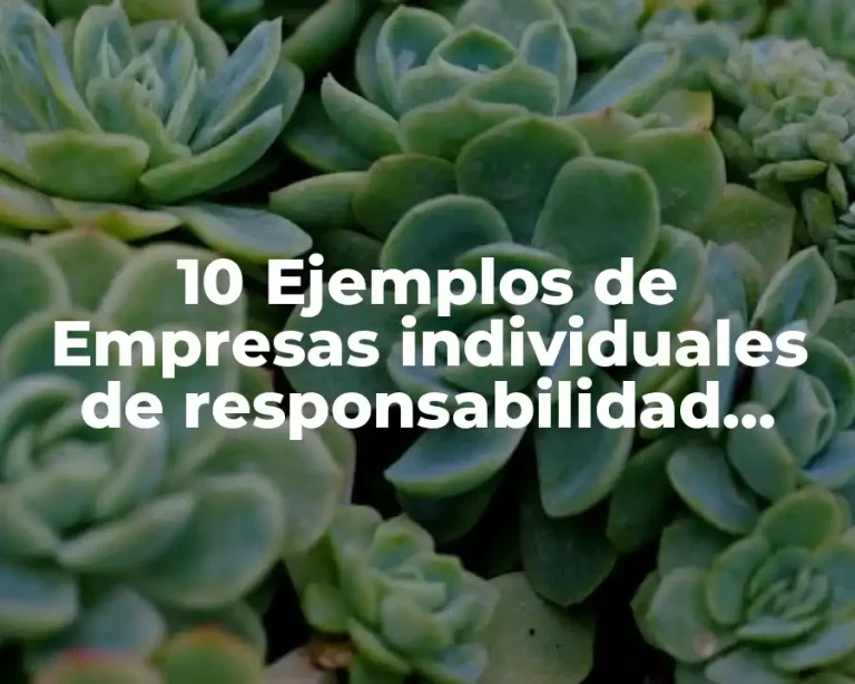 10 Ejemplos de Empresas individuales de responsabilidad limitada en Chile
