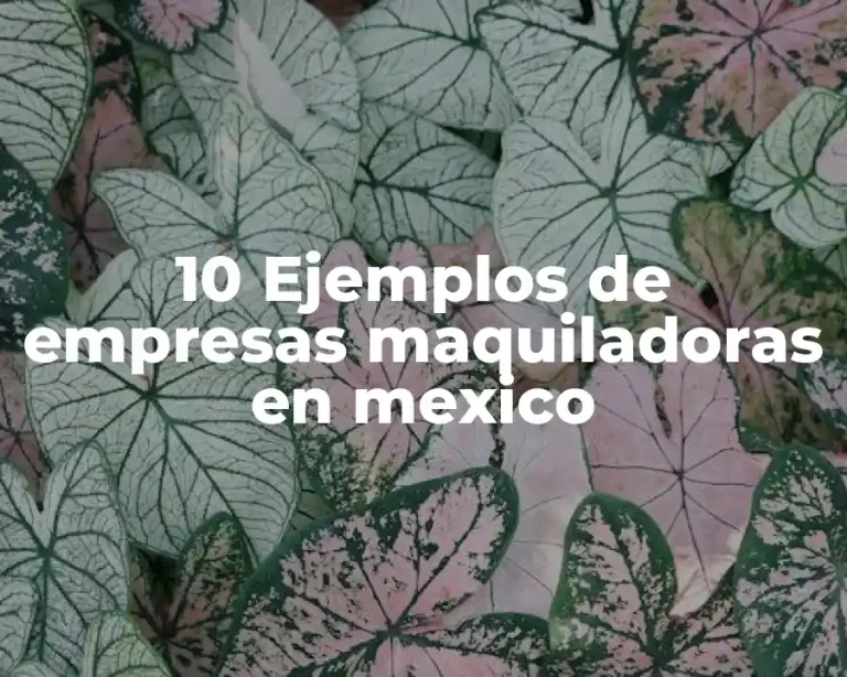 10 Ejemplos de empresas maquiladoras en mexico
