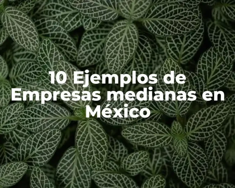 10 Ejemplos de Empresas medianas en México