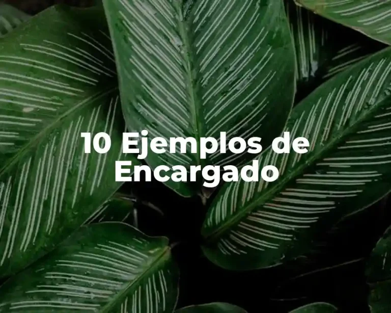 10 Ejemplos de Encargado
