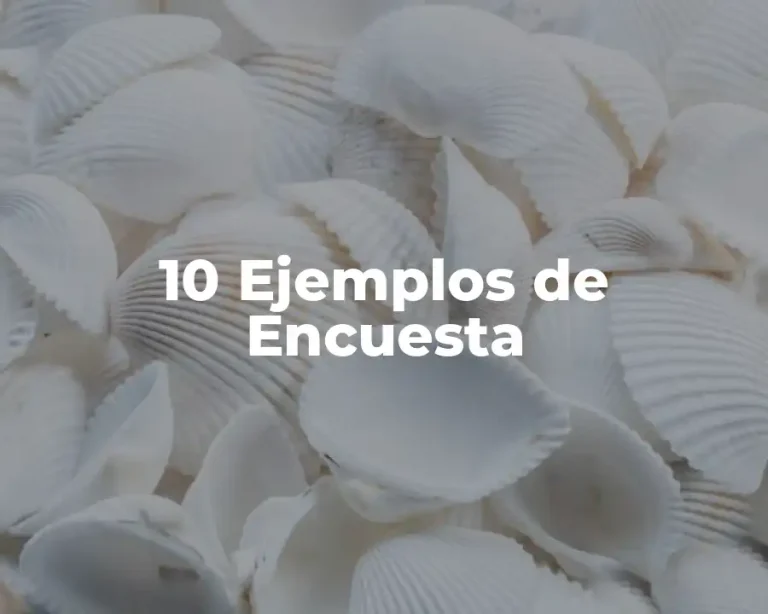 10 Ejemplos de Encuesta