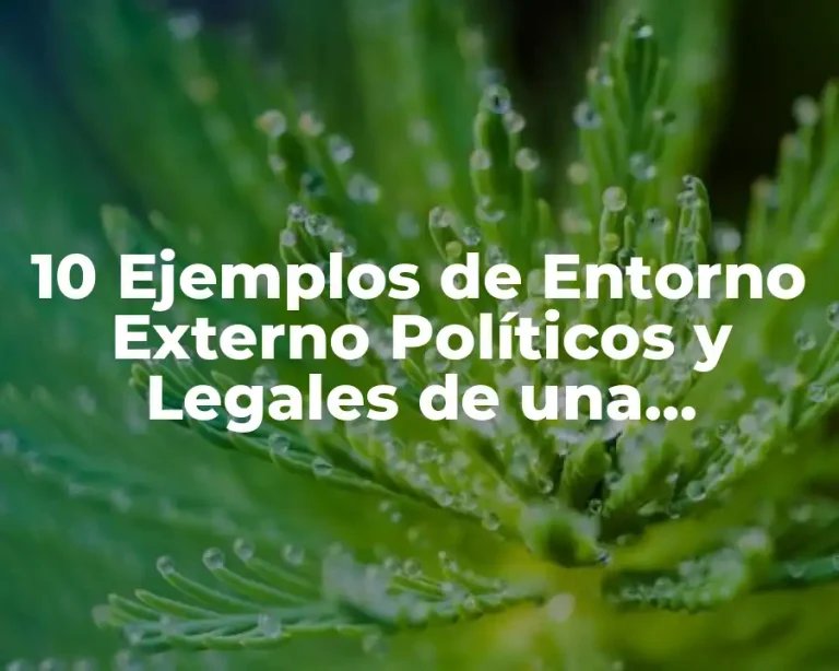 10 Ejemplos de Entorno Externo Políticos y Legales de una Empresa