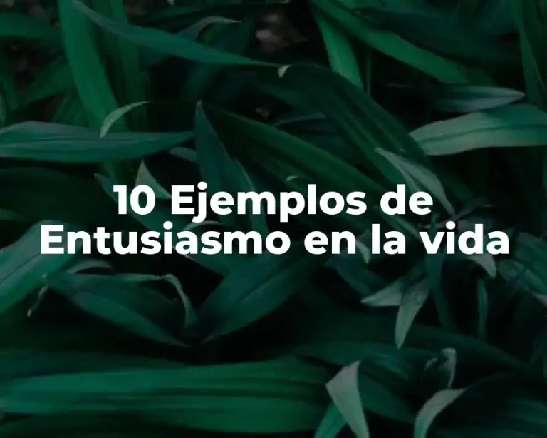 10 Ejemplos de Entusiasmo en la vida