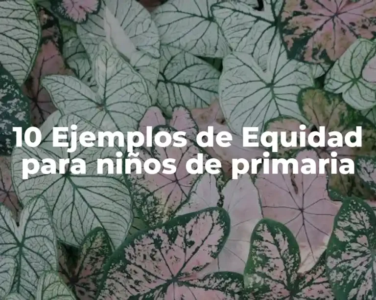 10 Ejemplos de Equidad para niños de primaria